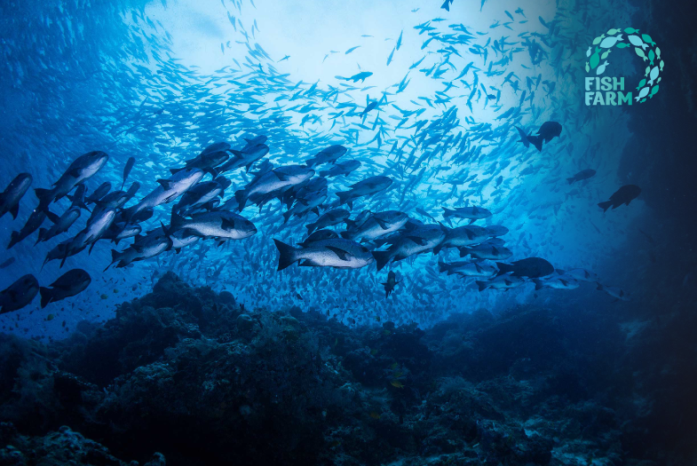 FISH FARM